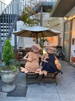 1966 DOMANIの写真・動画_image_478026