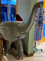 CIRCUSの写真・動画_image_478107