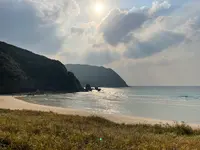 高浜海水浴場の写真・動画_image_478118