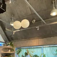 サンデーブランチ 下北沢店の写真・動画_image_478136
