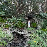 井持浦教会の写真・動画_image_478285