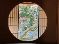 御寺泉涌寺 別院 雲龍院の写真・動画_image_478386