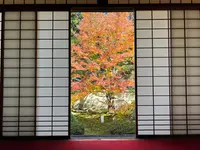 御寺泉涌寺 別院 雲龍院の写真・動画_image_478388