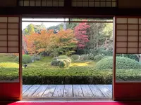 御寺泉涌寺 別院 雲龍院の写真・動画_image_478390
