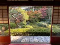 御寺泉涌寺 別院 雲龍院の写真・動画_image_478391