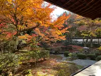 泉涌寺 御座所の写真・動画_image_478401