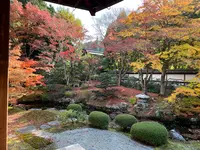 泉涌寺 御座所の写真・動画_image_478402