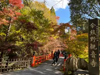 今熊野観音寺の写真・動画_image_478403