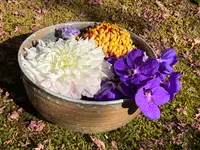 勝林寺の写真・動画_image_478410