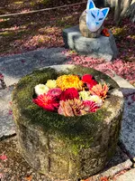 勝林寺の写真・動画_image_478411