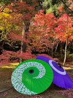 勝林寺の写真・動画_image_478412