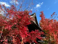 勝林寺の写真・動画_image_478416