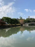 ぐるっと松江堀川めぐりの写真・動画_image_478458