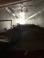 ぐるっと松江堀川めぐりの写真・動画_image_478460