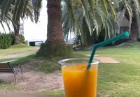 life:styleの写真・動画_image_478530