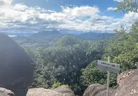 文学のこみちの写真・動画_image_478655