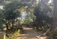 文学のこみちの写真・動画_image_478656