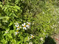 久賀島潜伏キリシタン資料館の写真・動画_image_478694