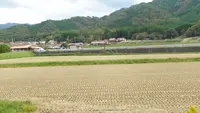 SLやまぐち号（新山口〜津和野）の写真・動画_image_478785