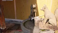 足湯 No.7（湯の町通り）の写真・動画_image_478822