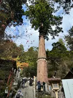由岐神社の写真・動画_image_478909