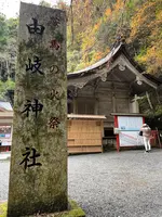由岐神社の写真・動画_image_478910