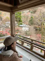 貴船神社の写真・動画_image_478927