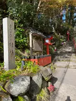 貴船神社 中宮 結社の写真・動画_image_478931