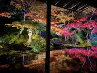 瑠璃光院の写真・動画_image_478948