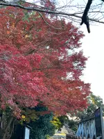 蹴上インクラインの写真・動画_image_478990