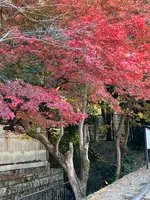 蹴上インクラインの写真・動画_image_478991