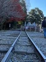 蹴上インクラインの写真・動画_image_478992