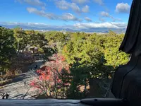 南禅寺の写真・動画_image_479030