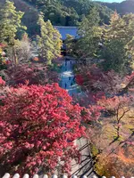 南禅寺の写真・動画_image_479032