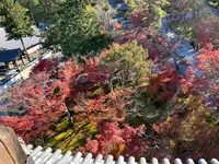 南禅寺の写真・動画_image_479033