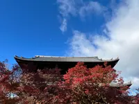 南禅寺の写真・動画_image_479034
