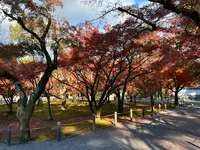 南禅寺の写真・動画_image_479037