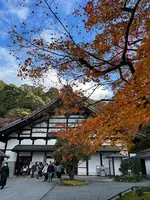 南禅寺の写真・動画_image_479038