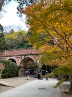 水路閣の写真・動画_image_479041