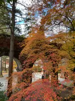 水路閣の写真・動画_image_479043