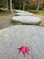 天授庵の写真・動画_image_479046