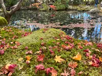 天授庵の写真・動画_image_479047