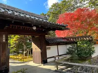 天授庵の写真・動画_image_479048