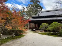 天授庵の写真・動画_image_479049
