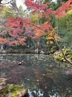 天授庵の写真・動画_image_479052