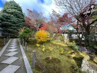 天授庵の写真・動画_image_479053