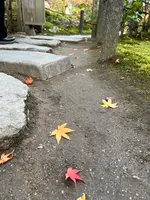 天授庵の写真・動画_image_479055