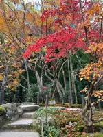 天授庵の写真・動画_image_479057