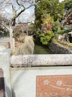 哲学の道の写真・動画_image_479061