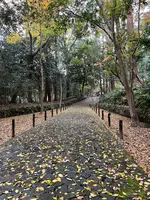 法然院の写真・動画_image_479078